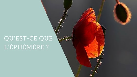 Qu'est-ce que l'éphémère ?