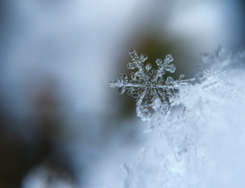 Lorsque la neige tombe,chaque flocon est à la bonne place…