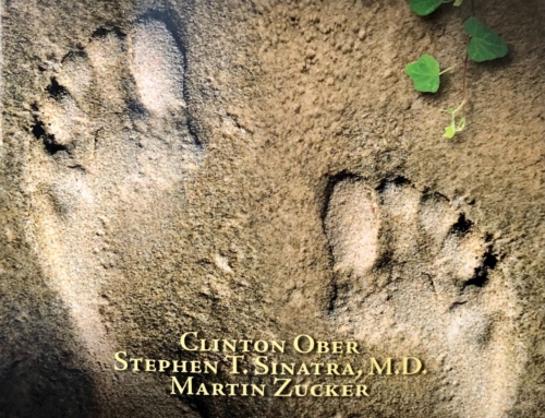 La Mise à la Terre ( Earthing ou Grounding en anglais)
