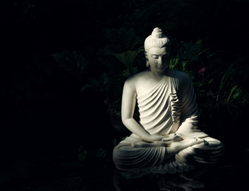 Le Yin Yoga, un art énergétique au service de la vie